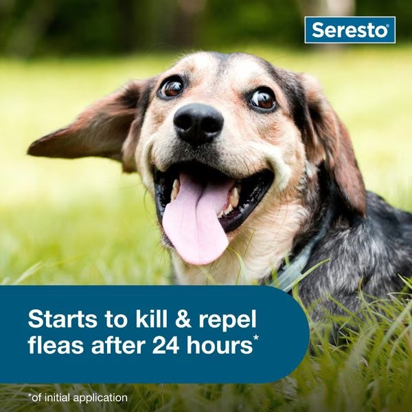 Seresto Flea & Tick Collar for Dogs