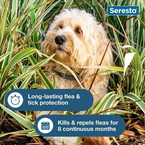 Seresto Flea & Tick Collar for Dogs