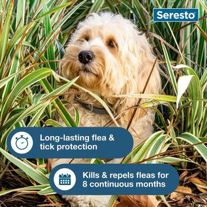 Seresto Flea & Tick Collar for Dogs
